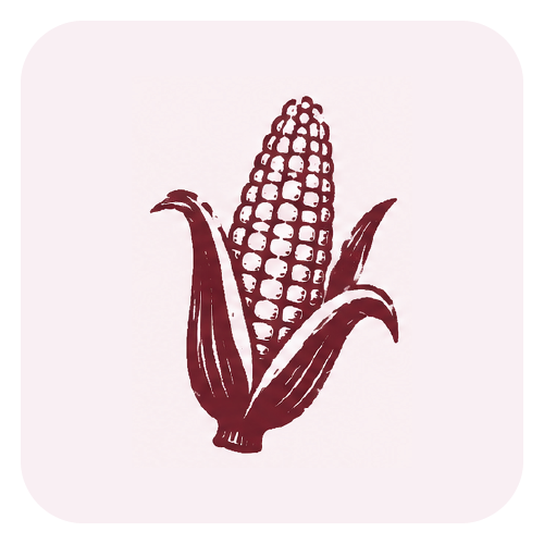 الذرة