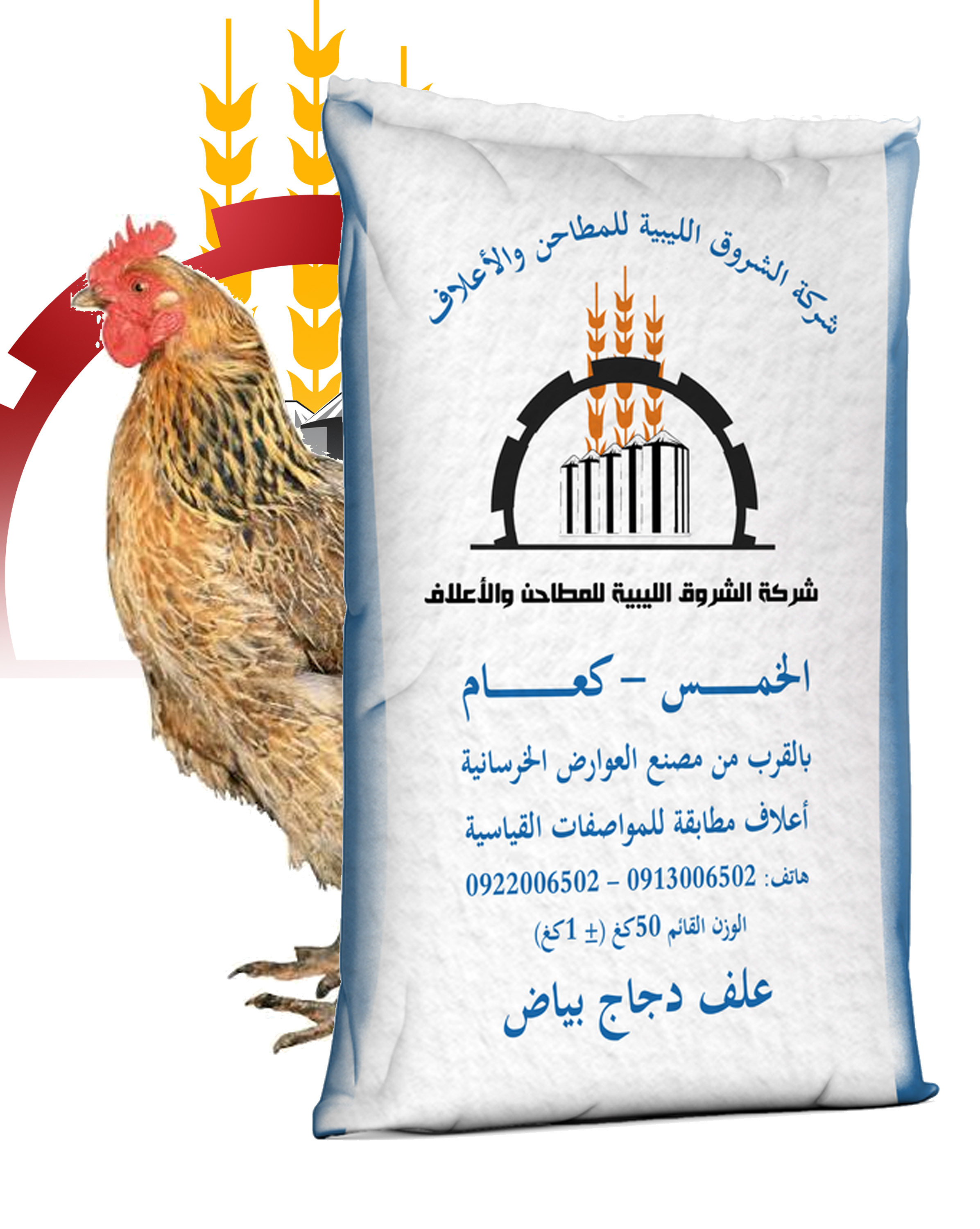علف دجاج بياض